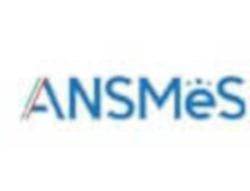 Logo ANSMeS